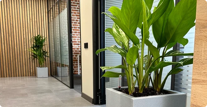Offices 1