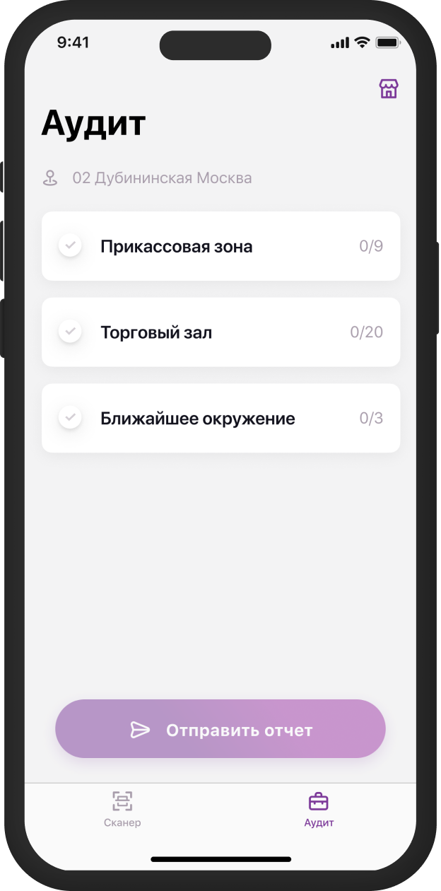Audit 1
