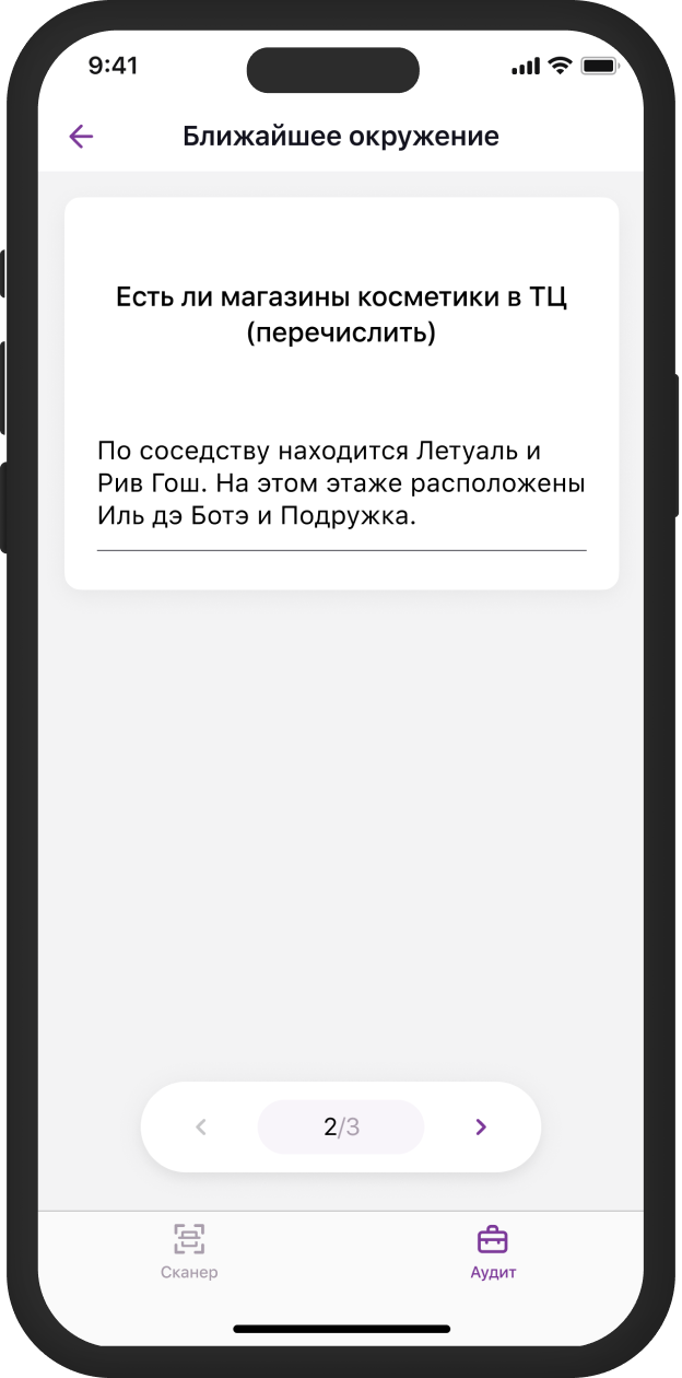 Audit 2